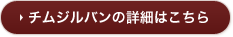 チムジルバンの詳細はこちら